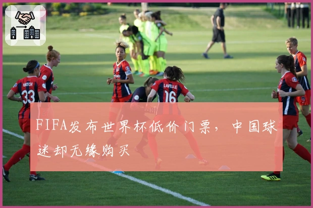 FIFA发布世界杯低价门票，中国球迷却无缘购买