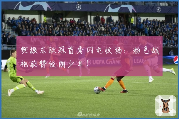 樊振东欧冠首秀闪电收场，粉色战袍获赞俊朗少年！